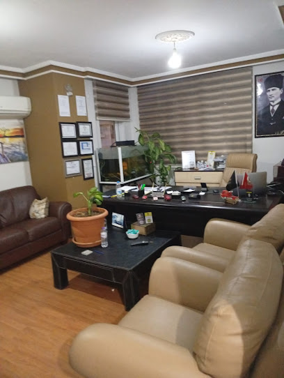 Adil İnşaat & Emlak