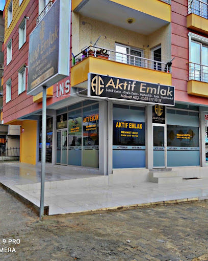 AKTİF EMLAK & GALERİ