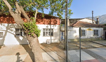 ali kuloglu ayakkabi