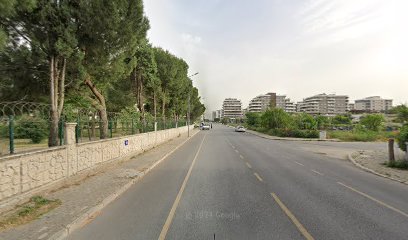 Ancın Emlak Gayrimenkul