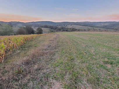 ASİL EMLAK VE GAYRIMENKUL HIZMETİ