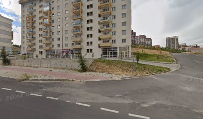 Asil İnşaat Gayrimenkul – Talat Taşkesen