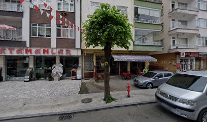 ATA EMLAK ORDU ALTINORDU