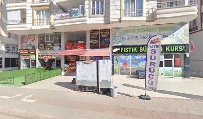 Aykut Human Gayrimenkul