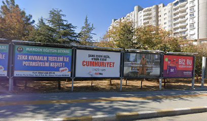 Barış Ayakkabı Dünyası