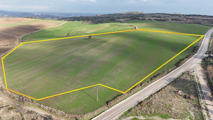 BAYKUŞ EMLAK OFİSİ I Payas Dörtyol İskenderun Emlakçı Ofisleri