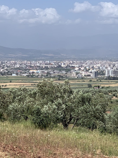 Bizim Emlak Gayrimenkul ve Danışmanlık Hiz