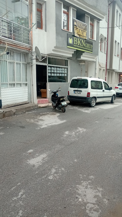 BKN Group Gayrimenkul