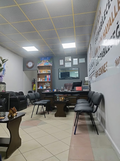 Bölge Emlak Otomotiv