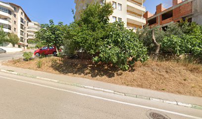 Bursa Emlak Dünyası