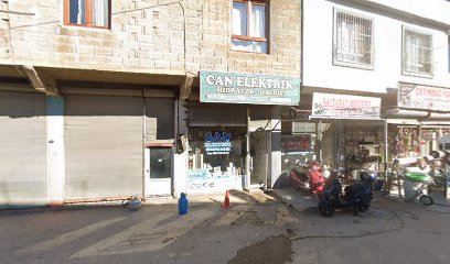 Can Elektrik