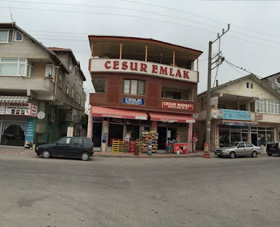 CESUR EMLAK