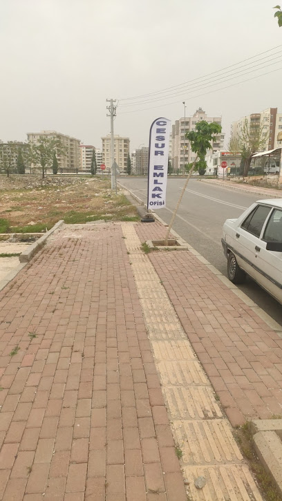 Cesur Emlak Ofisi