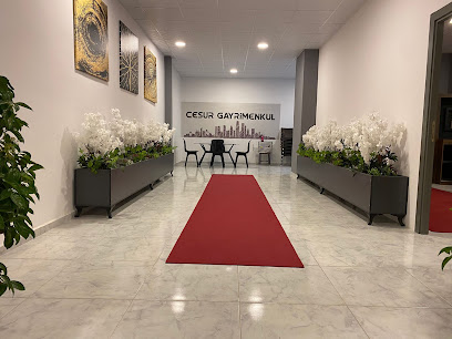 CESUR GAYRİMENKUL