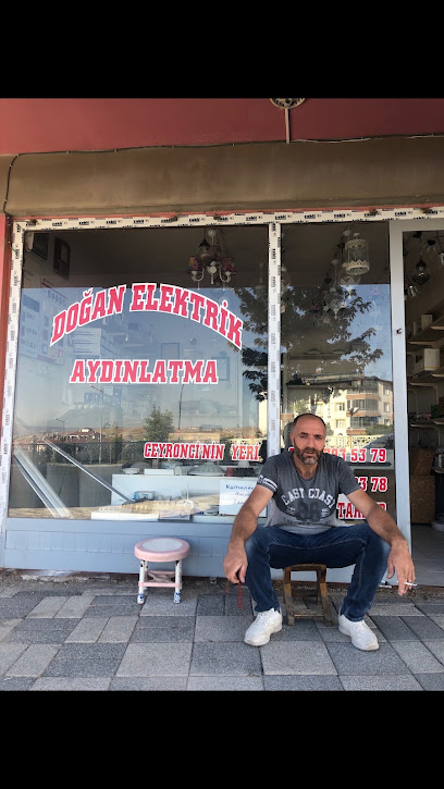 Doğan elektrik