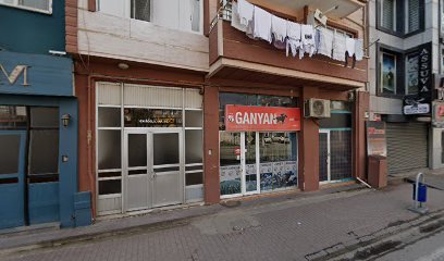 Elektron Elektrik ve Avize