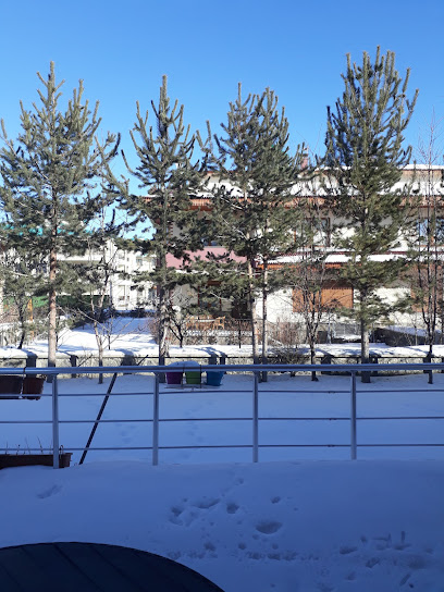 ERZURUM ARSA OFİSİ