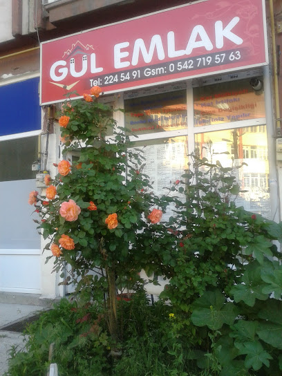 gül emlak selami gültekin