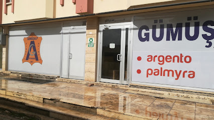 Gümüş Alp ayakkabı