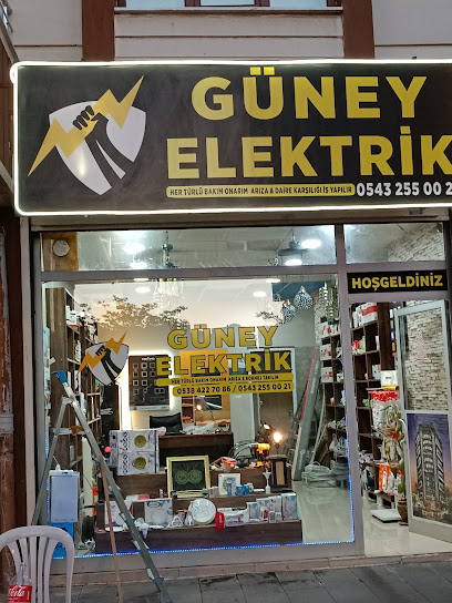 Güney elektirik