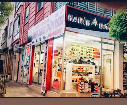 Harika Adimlar Ayakkabi Dunyasi