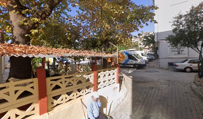 İLKAY AYHAN GAYRİMENKUL