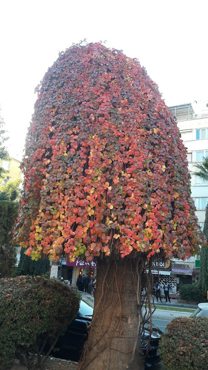 İMAMOĞLU EMLAK OFİSİ