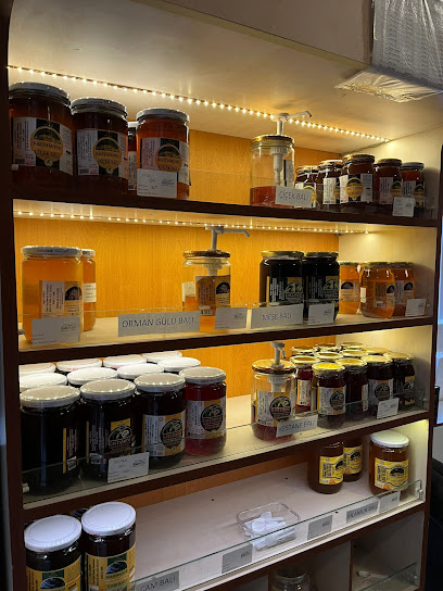 İva Elektrik ve Arıcılık