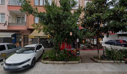 KALE GAYRİMENKUL ORDU