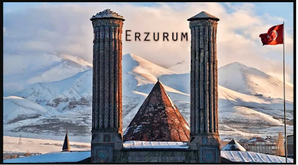 Körfez Elektrik Ve İnşaat