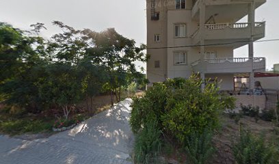 Lighting Elektrik Elektronik