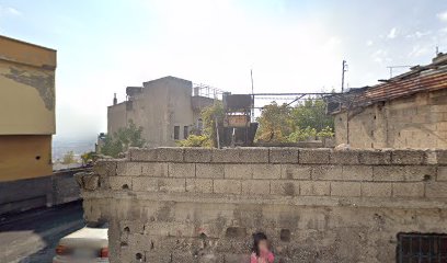 Lisans Ayakkabıcılık