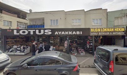 Lotus Ayakkabı