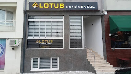 LOTUS GAYRİMENKUL & EMLAK