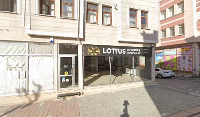 LOTUS GAYRİMENKUL KÜTAHYA