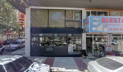 magnesia gayrimenkul