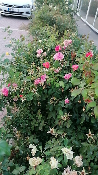 MALATYA FOREVER EMLAK