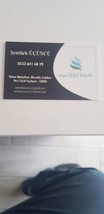 Mavi Egeli Emlak