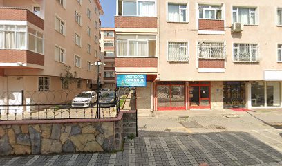 Metropol İstanbul Emlak