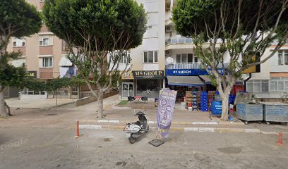 MS GROUP GAYRİMENKUL