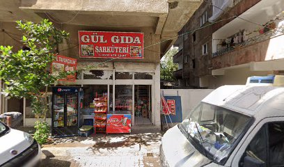 Netelsan Mahmutoğlu Elektrik