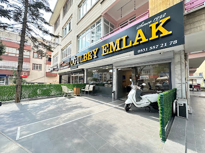 Oğulbey Emlak