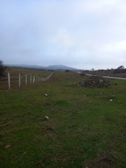 ÖZALP GAYRİMENKUL DANIŞMALIĞI