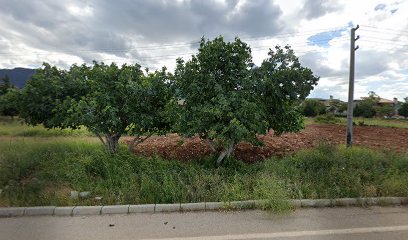 Potin Ayakkabı Çanta