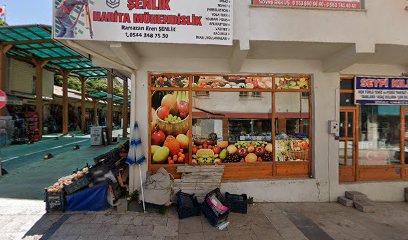 Sariaslan İnşaat Emlak Ve Hafriyat