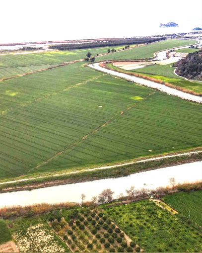 Sebo Emlak ve Gayrimenkul