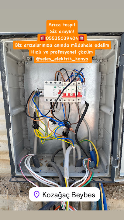 Seleş Elektrik