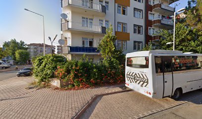 Şenel Emlak Ve Dekorasyon