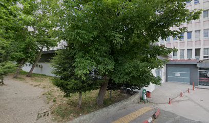 Sığınak Emlak& İnşaat ( emlak samsun, ev samsun )