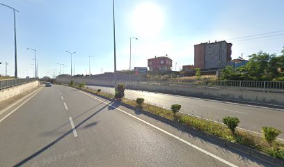 Sinop Gayrimenkul